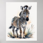 Waterverf Schilderen van een Baby Zebra 5:4 Poster (Voorkant)