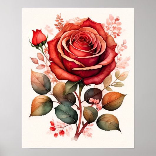 Waterverf Schilderen van een Roos Rood Poster (Voorkant)