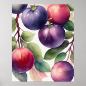 Waterverf Schilderen van Pruimen Poster (Voorkant)
