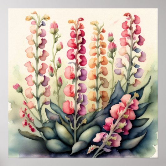 Waterverf Schilderen van Snapdragons Poster (Voorkant)