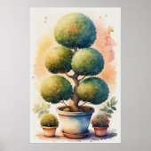 Waterverf Schilderen van Topiary Tree in Pot II Poster (Voorkant)