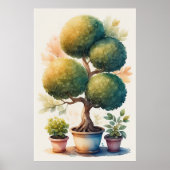 Waterverf Schilderen van Topiary Tree in Pot Poster (Voorkant)