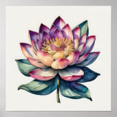 Waterverf Schilderen van Waterlelie Poster (Voorkant)