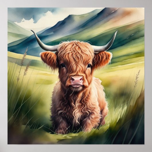 Waterverf schilderij Baby Highland Koe Sitting 1:1 Poster (Voorkant)