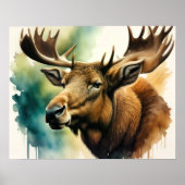 Waterverf schilderij Moose 5:4 Poster (Voorkant)