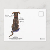 waterverf schilderij redding pup briefkaart (Achterkant)