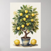 Waterverf Schilderij van Citroenboom in Pot II Poster (Voorkant)