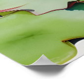 Waterverf schilderij van een lotusbloem poster (Hoek)