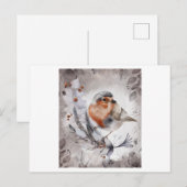 Waterverf schilderij van een Robin Bird met een bl Briefkaart (Voorkant / Achterkant)