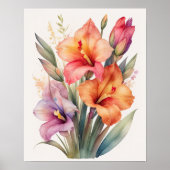 Waterverf Schilderij van Gladiolas II Poster (Voorkant)