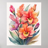 Waterverf Schilderij van Gladiolas Poster (Voorkant)