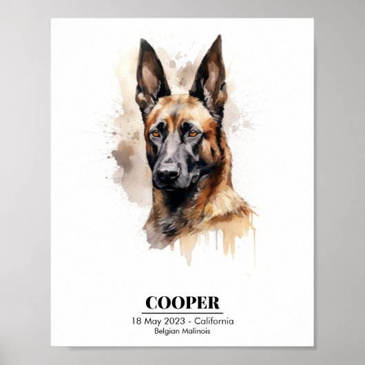  Waterverf Schilderij van Malinois Poster (Voorkant)