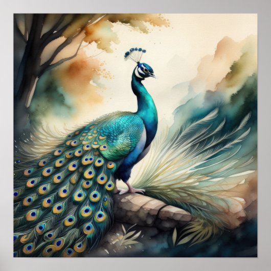 Waterverf Schilderij van Peacock 1:1 Poster (Voorkant)