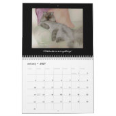 Waterverf Schilderijen van Nan Kalender (Jan 2027)