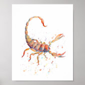 Waterverf Scorpion Poster (Voorkant)