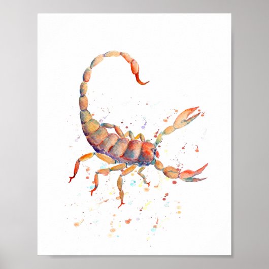 Waterverf Scorpion Poster (Voorkant)