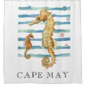 WATERVERF SEAHORSE, BEACH TOWN, CAPE KAN DOUCHEGORDIJN (Voorkant)