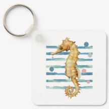 WATERVERF SEAHORSE, KUSTBACATIE RENTAAL