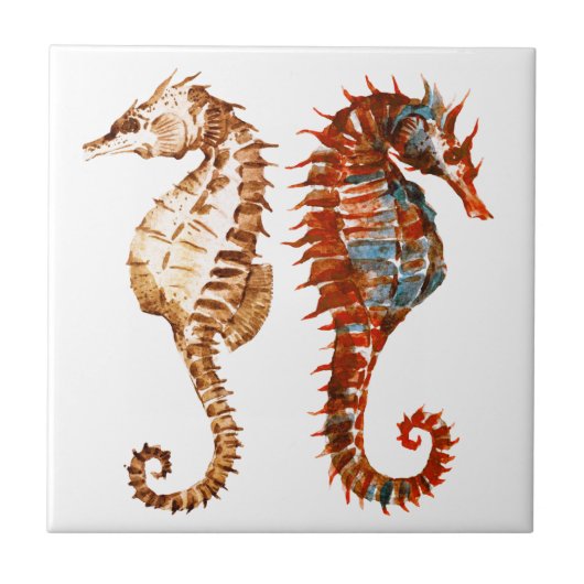 Waterverf Seahorse Patroon Tegeltje (Voorkant)