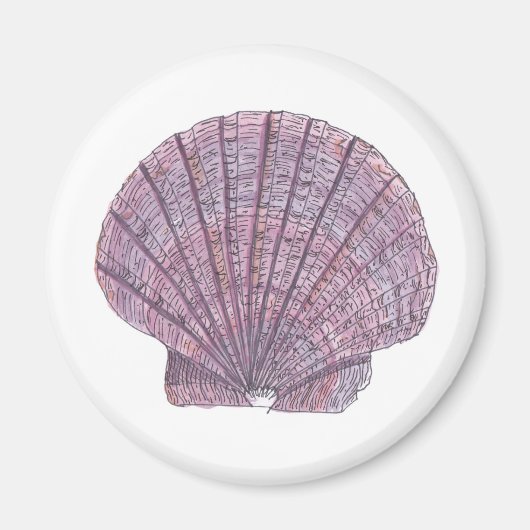 Waterverf Seashell Magnet (Voorkant)