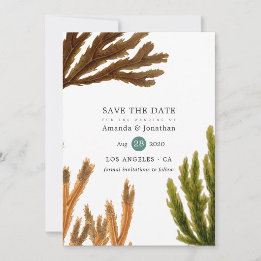 Waterverf Seaweed Beach Threadding Save The Date (Voorkant)