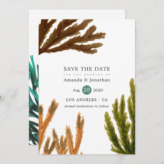 Waterverf Seaweed Beach Threadding Save The Date (Voorkant / Achterkant)