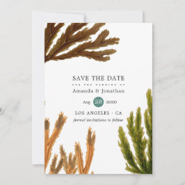 Waterverf Seaweed Beach Threadding Save The Date
