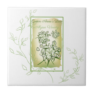 Waterverf Seed Packet Queen's Lace Tegeltje
