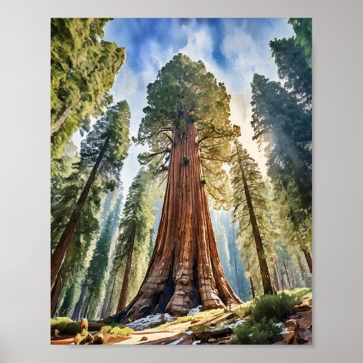 Waterverf Sequoia National Park California Poster (Voorkant)
