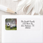 Waterverf Sheep Return-adres Etiket (Insitu)