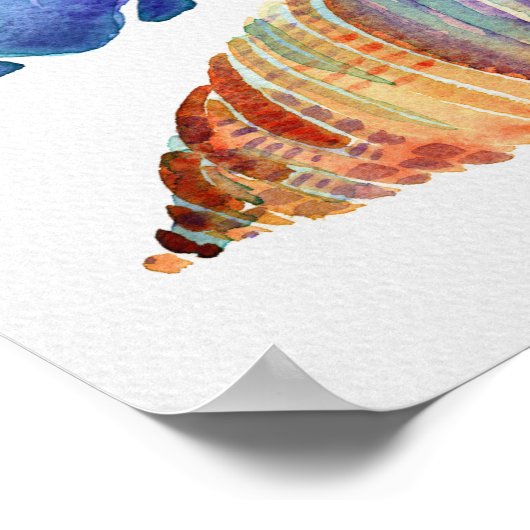 Waterverf Shells Poster (Hoek)
