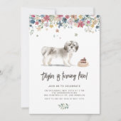  Waterverf Shih Tzu Dog Verjaardag Kaart (Voorkant)