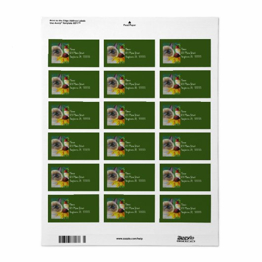 Waterverf Siamese Kitten en Hummingbird Art Etiket (Full Sheet)