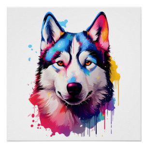 Waterverf Siberische Husky kleurrijke kunst Perfect Poster