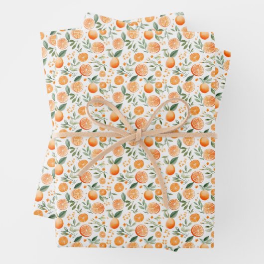 Waterverf Sinaasappel & Bladeren op Wit Inpakpapier Vel (In situ)