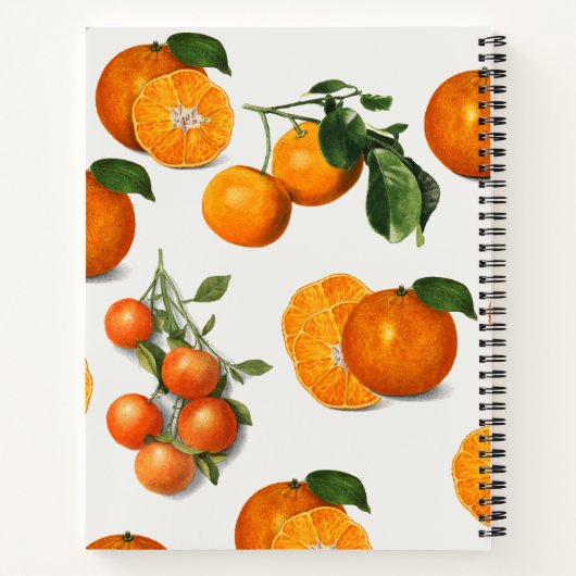 Waterverf  Sinaasappel Citrus Recipe Notitieboek (Achterkant)