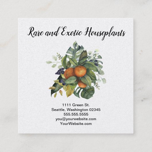 Waterverf sinaasappels florale toedieningsvorm vierkante visitekaartje (Achterkant)