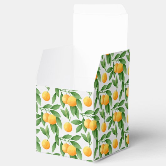 Waterverf sinaasappels of tangerines patroon bedankdoosjes (Geopend)