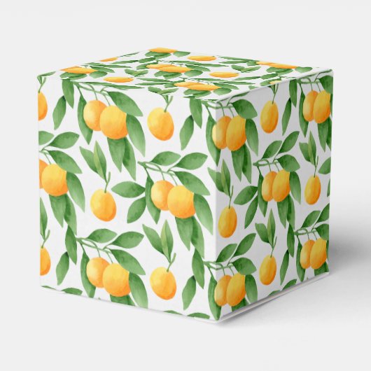 Waterverf sinaasappels of tangerines patroon bedankdoosjes (Achterkant)