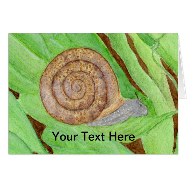 Waterverf slak (Voorkant Horizontaal)