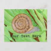 Waterverf slak briefkaart (Voorkant)
