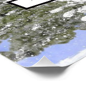 Waterverf Sneeuwachtige dennen foto stamboom Perfect Poster (Hoek)