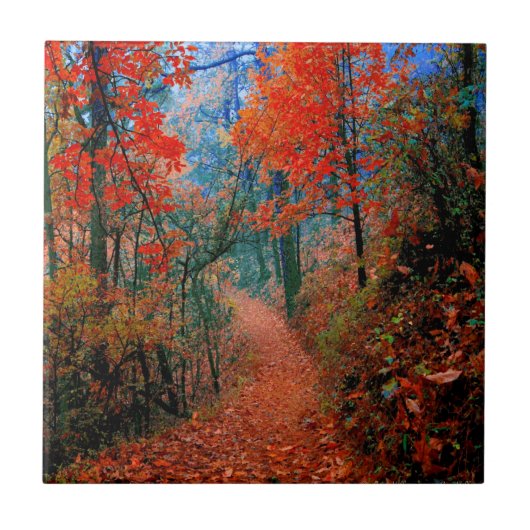 Waterverf snijpad herfst bos tegeltje (Voorkant)