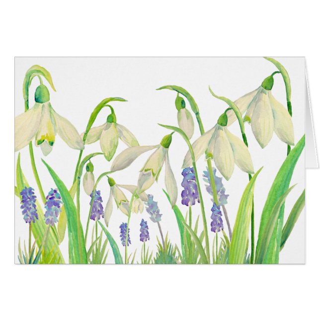 Waterverf Snowdruppels en Muscari (Voorkant Horizontaal)