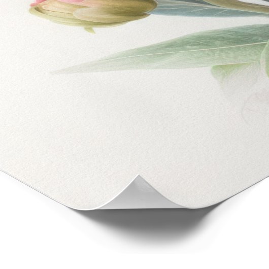 Waterverf Soft Pink Peony op Bloom Square Poster (Hoek)