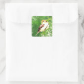Waterverf Song Sparrow Bird in Forest Art Vierkante Sticker (Tas)