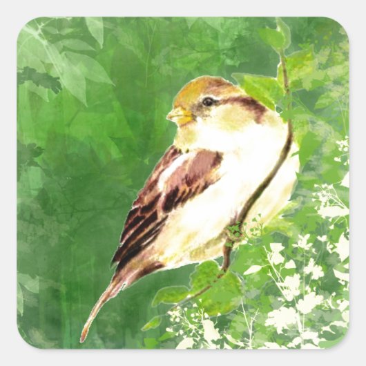Waterverf Song Sparrow Bird in Forest Art Vierkante Sticker (Voorkant)
