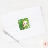 Waterverf Song Sparrow Bird in Forest Art Vierkante Sticker (Envelop)
