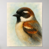 Waterverf Sparrow Portrait Poster (Voorkant)