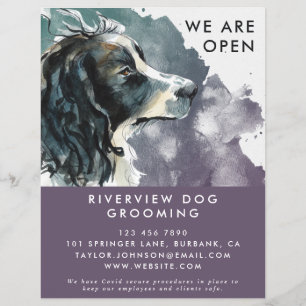 Waterverf Springer Spaniel Dog Grooming Reopening Flyer